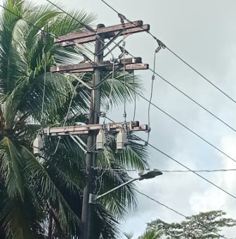 TripSaver II重合器正在帮助PUC预防由常见问题（如植被过度生长）引起的频繁停电