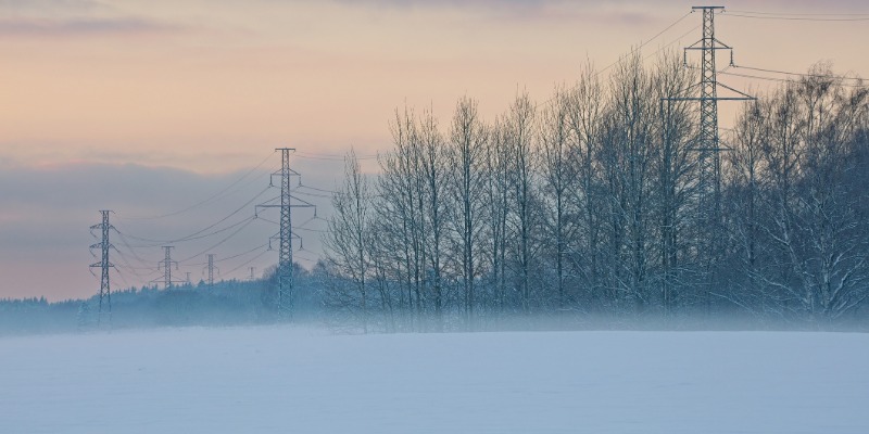 Winter scene with trees and electrical lines